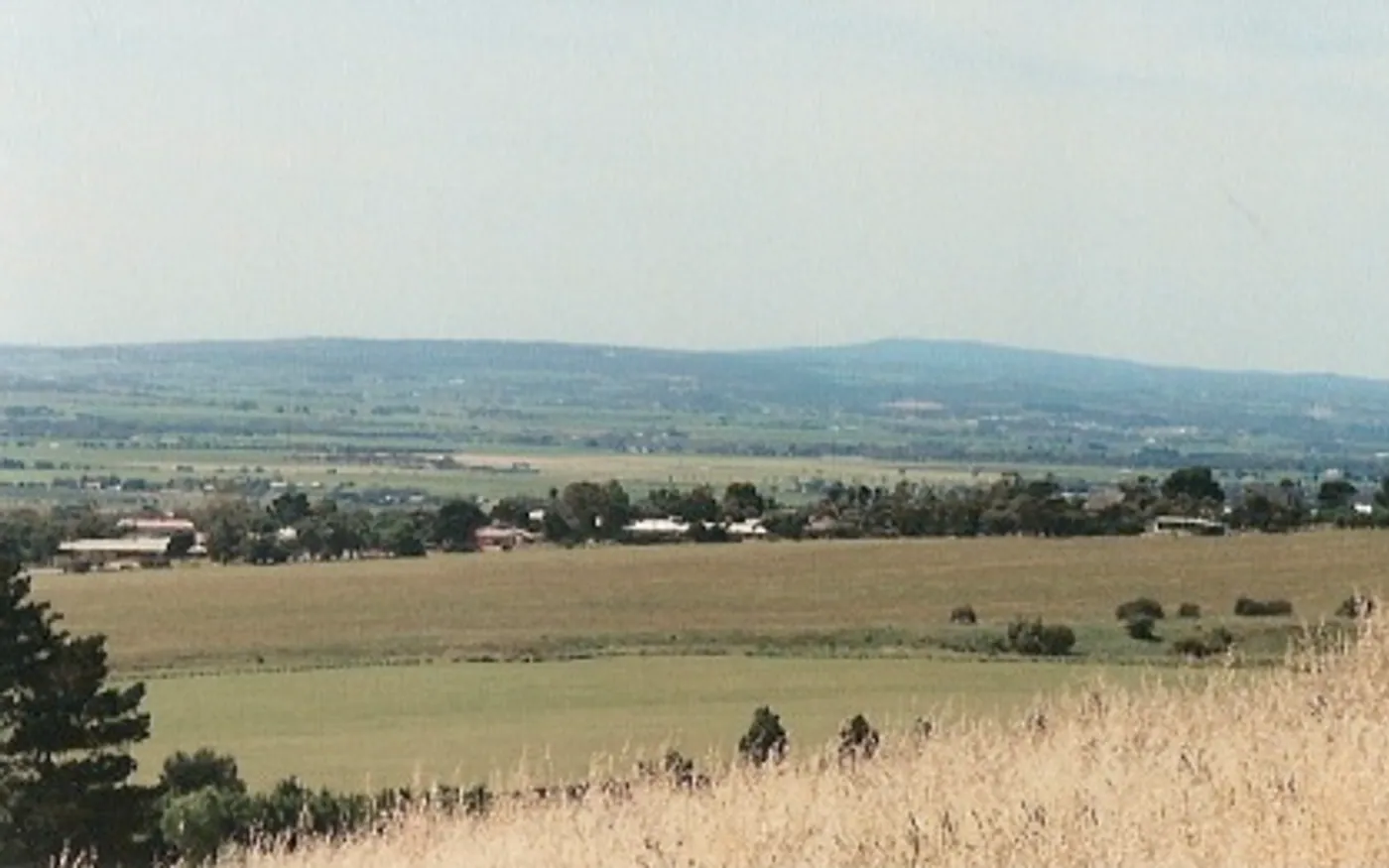 View of McLaren Vale in South Australia